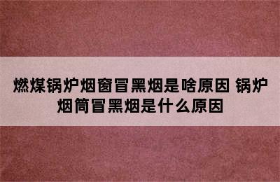 燃煤锅炉烟窗冒黑烟是啥原因 锅炉烟筒冒黑烟是什么原因